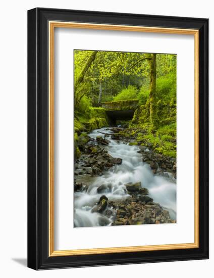 Oregon, Wahkeena Falls. Located Along I-84, the Columbia River Gorge-Richard Duval-Framed Photographic Print