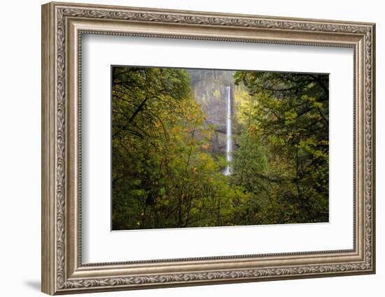 Oregon Waterfall-Jason Savage-Framed Art Print