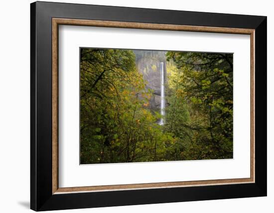 Oregon Waterfall-Jason Savage-Framed Art Print