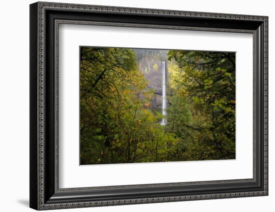 Oregon Waterfall-Jason Savage-Framed Art Print