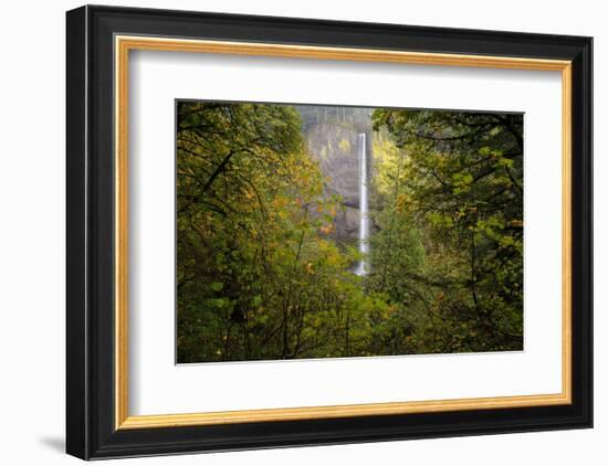 Oregon Waterfall-Jason Savage-Framed Art Print