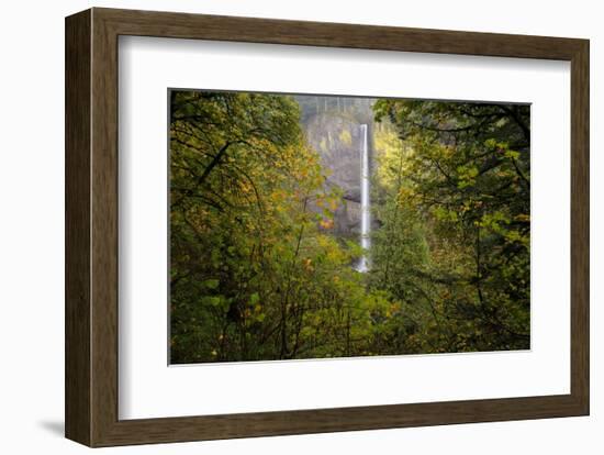 Oregon Waterfall-Jason Savage-Framed Art Print