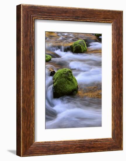 Oregon, Willamette NF. Mckenzie River Flowing over Moss-Covered Rocks-Steve Terrill-Framed Photographic Print