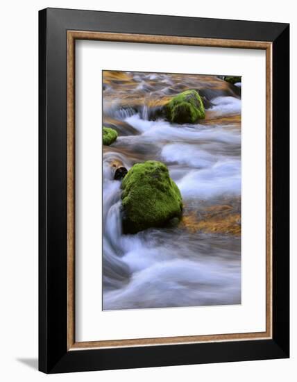 Oregon, Willamette NF. Mckenzie River Flowing over Moss-Covered Rocks-Steve Terrill-Framed Photographic Print