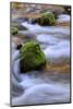 Oregon, Willamette NF. Mckenzie River Flowing over Moss-Covered Rocks-Steve Terrill-Mounted Photographic Print