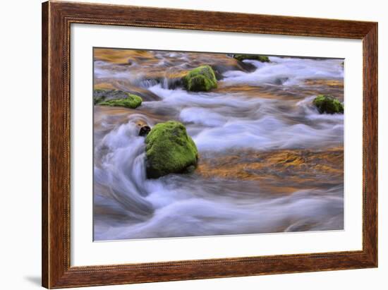 Oregon, Willamette NF. Mckenzie River Flowing over Moss-Covered Rocks-Steve Terrill-Framed Photographic Print