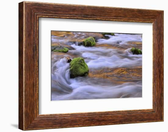 Oregon, Willamette NF. Mckenzie River Flowing over Moss-Covered Rocks-Steve Terrill-Framed Photographic Print