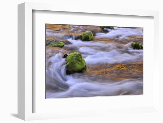 Oregon, Willamette NF. Mckenzie River Flowing over Moss-Covered Rocks-Steve Terrill-Framed Photographic Print