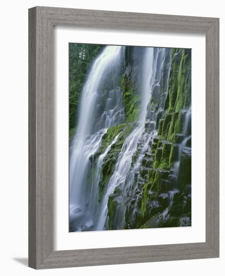 Oregon. Willamette NF, Three Sisters Wilderness, Lower Proxy Falls displays multiple cascades-John Barger-Framed Photographic Print