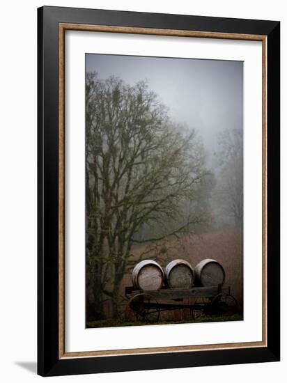 Oregon Wine Country I-Erin Berzel-Framed Photographic Print