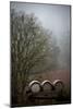 Oregon Wine Country I-Erin Berzel-Mounted Photographic Print