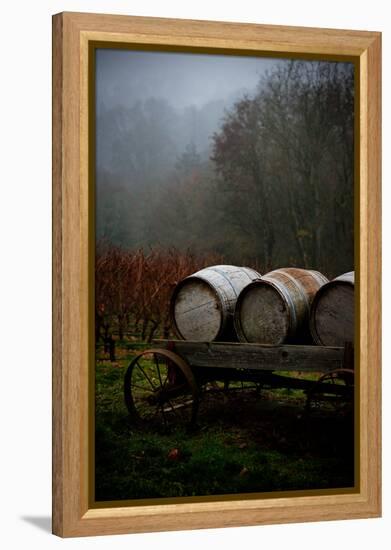 Oregon Wine Country II-Erin Berzel-Framed Premier Image Canvas