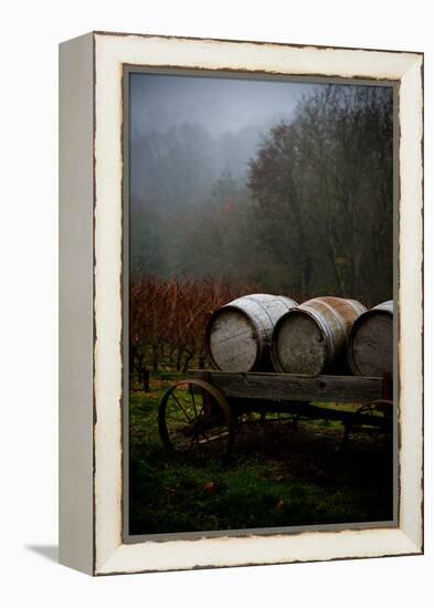 Oregon Wine Country II-Erin Berzel-Framed Premier Image Canvas