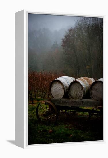 Oregon Wine Country II-Erin Berzel-Framed Premier Image Canvas