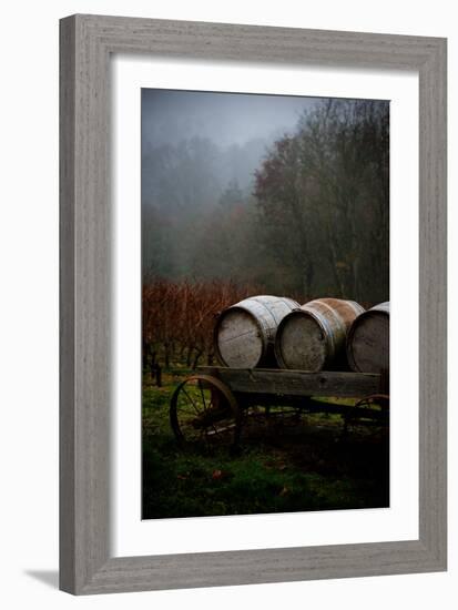 Oregon Wine Country II-Erin Berzel-Framed Photographic Print