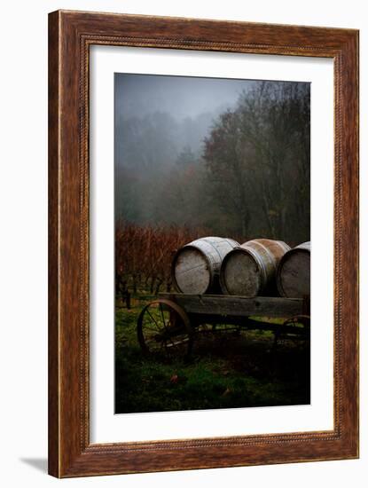 Oregon Wine Country II-Erin Berzel-Framed Photographic Print