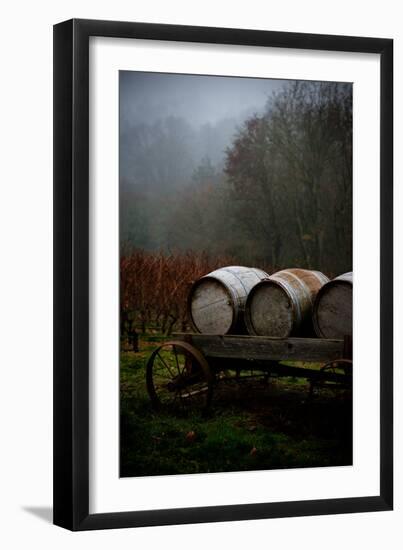 Oregon Wine Country II-Erin Berzel-Framed Photographic Print