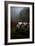 Oregon Wine Country II-Erin Berzel-Framed Photographic Print