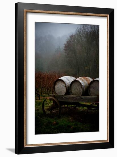 Oregon Wine Country II-Erin Berzel-Framed Photographic Print