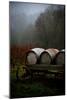 Oregon Wine Country II-Erin Berzel-Mounted Photographic Print