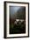 Oregon Wine Country II-Erin Berzel-Framed Photographic Print