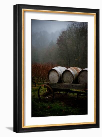 Oregon Wine Country II-Erin Berzel-Framed Photographic Print