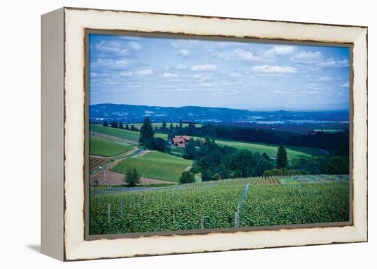 Oregon Wine Country-Erin Berzel-Framed Premier Image Canvas