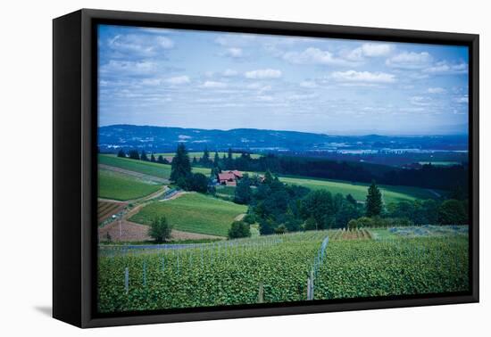 Oregon Wine Country-Erin Berzel-Framed Premier Image Canvas