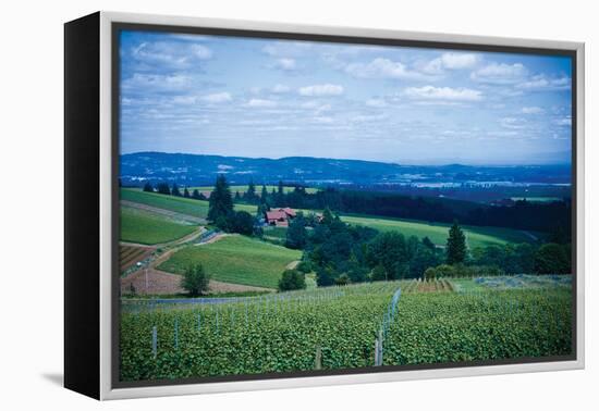 Oregon Wine Country-Erin Berzel-Framed Premier Image Canvas