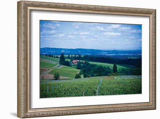 Oregon Wine Country-Erin Berzel-Framed Photographic Print