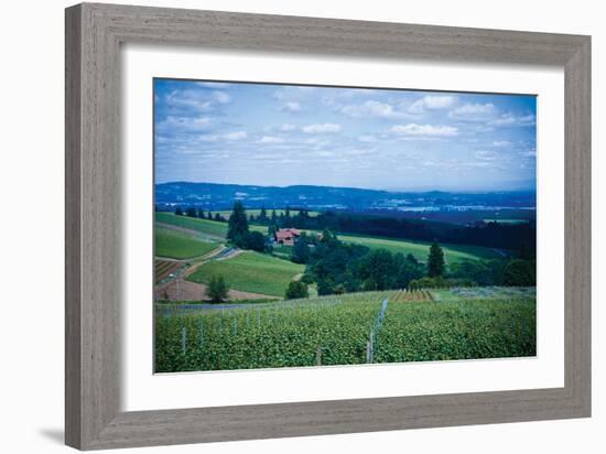 Oregon Wine Country-Erin Berzel-Framed Photographic Print