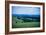 Oregon Wine Country-Erin Berzel-Framed Photographic Print