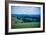 Oregon Wine Country-Erin Berzel-Framed Photographic Print