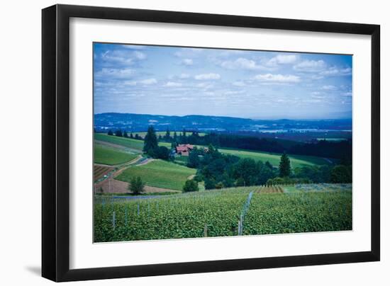 Oregon Wine Country-Erin Berzel-Framed Photographic Print