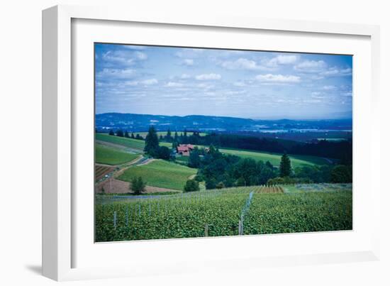 Oregon Wine Country-Erin Berzel-Framed Photographic Print