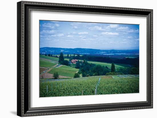 Oregon Wine Country-Erin Berzel-Framed Photographic Print