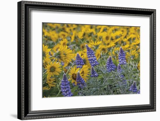 Oregon-Don Paulson-Framed Giclee Print