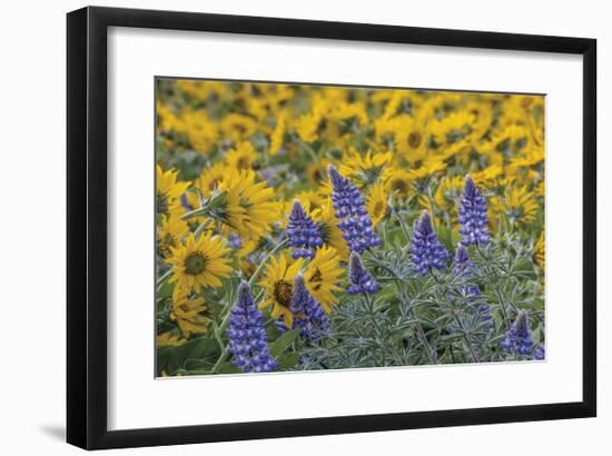 Oregon-Don Paulson-Framed Giclee Print