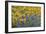 Oregon-Don Paulson-Framed Giclee Print