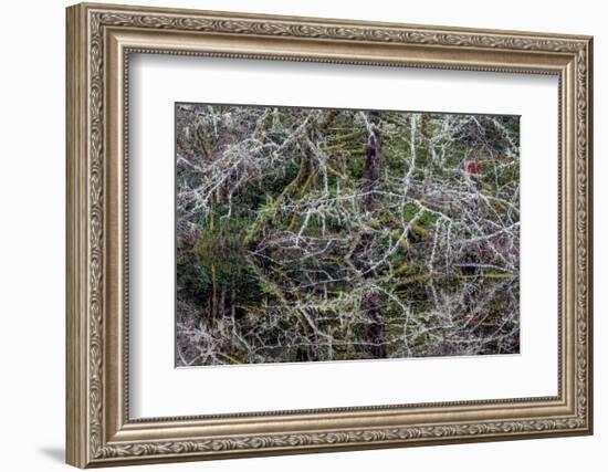 Oregon-Art Wolfe-Framed Photographic Print