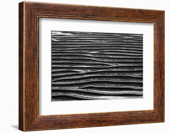 Oregon-Art Wolfe-Framed Photographic Print