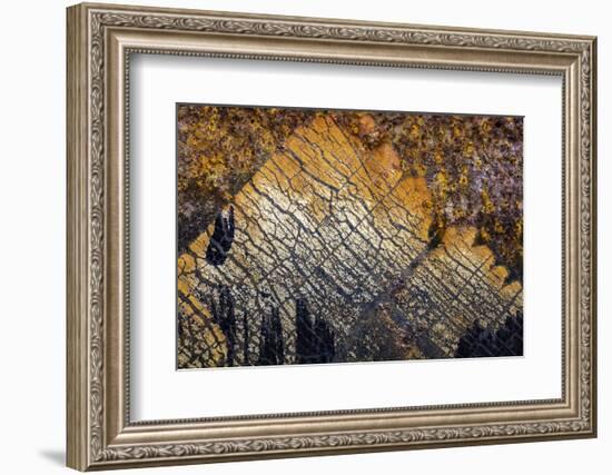 Oregon-Art Wolfe-Framed Photographic Print