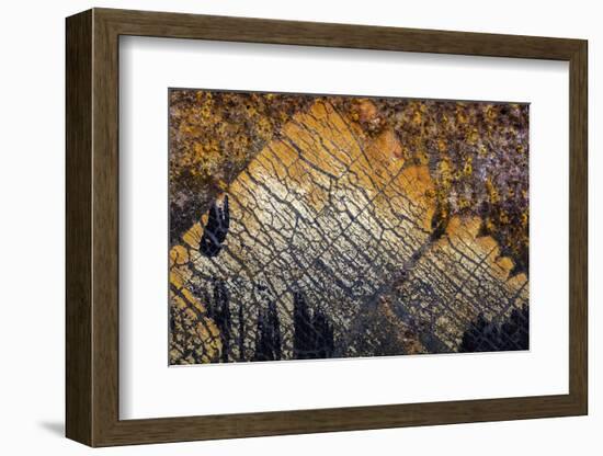 Oregon-Art Wolfe-Framed Photographic Print