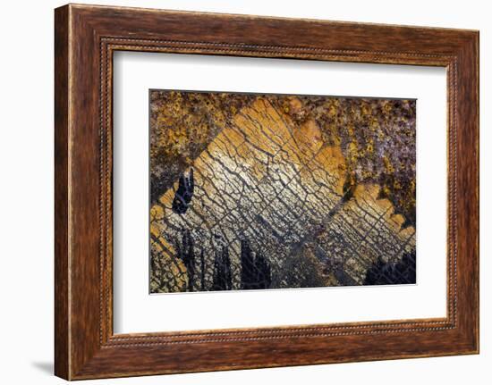 Oregon-Art Wolfe-Framed Photographic Print