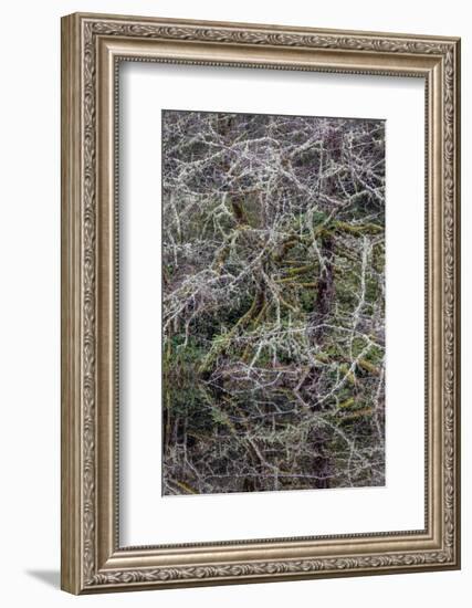 Oregon-Art Wolfe-Framed Photographic Print