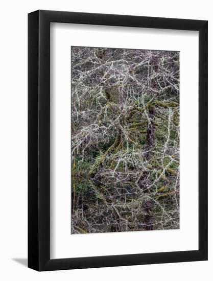 Oregon-Art Wolfe-Framed Photographic Print