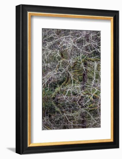 Oregon-Art Wolfe-Framed Photographic Print