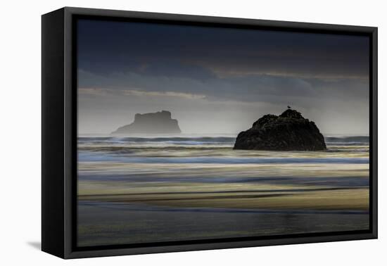 Oregon-Art Wolfe-Framed Premier Image Canvas