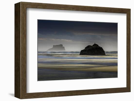 Oregon-Art Wolfe-Framed Photographic Print