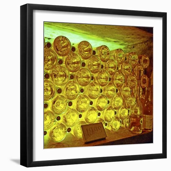 Oremus Winery in Tolcsva, Tokaj, Hungary-Per Karlsson-Framed Photographic Print